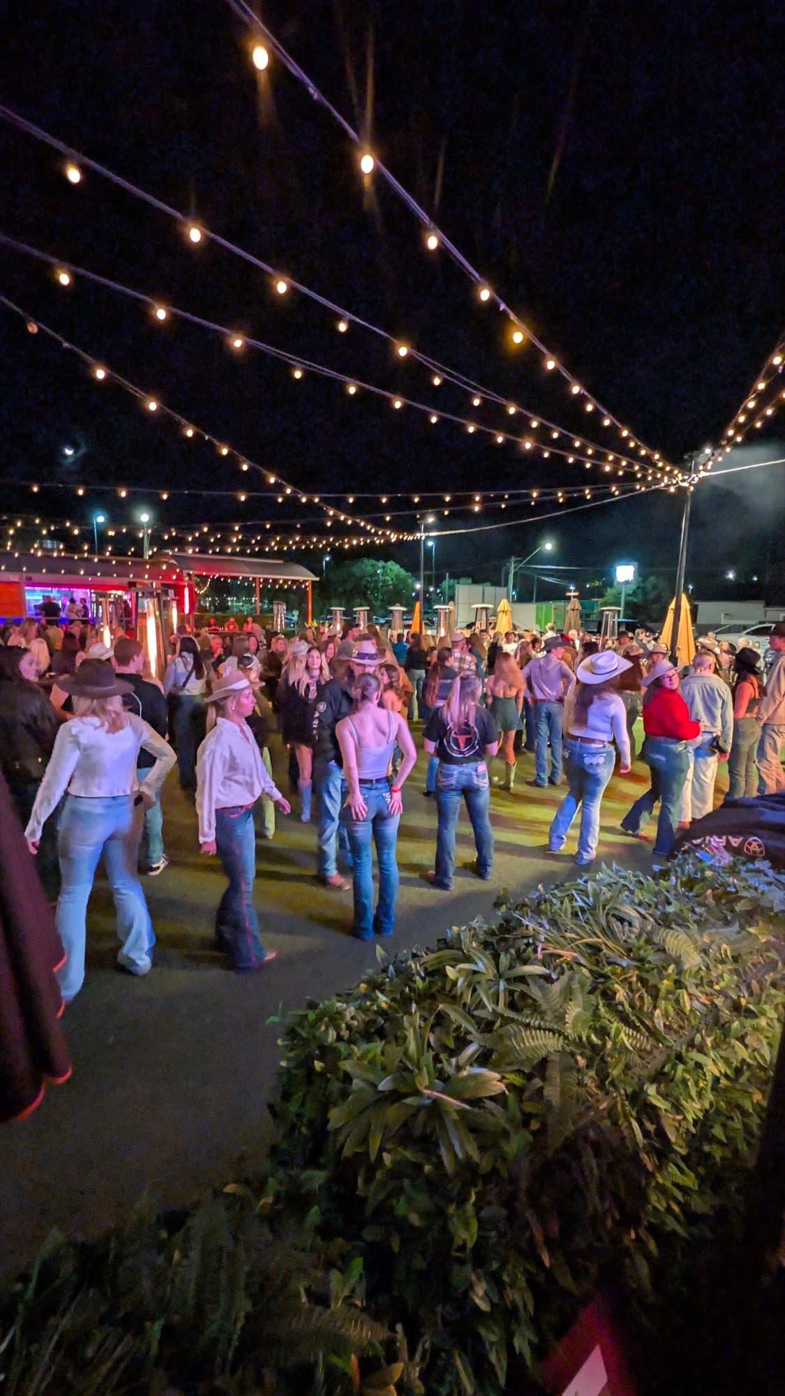 Crowd at the Golden Belt Buckle Final